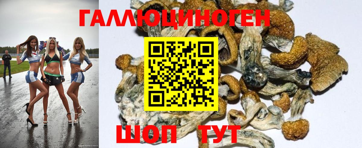 Псилоцибиновые грибы Cubensis Кемерово